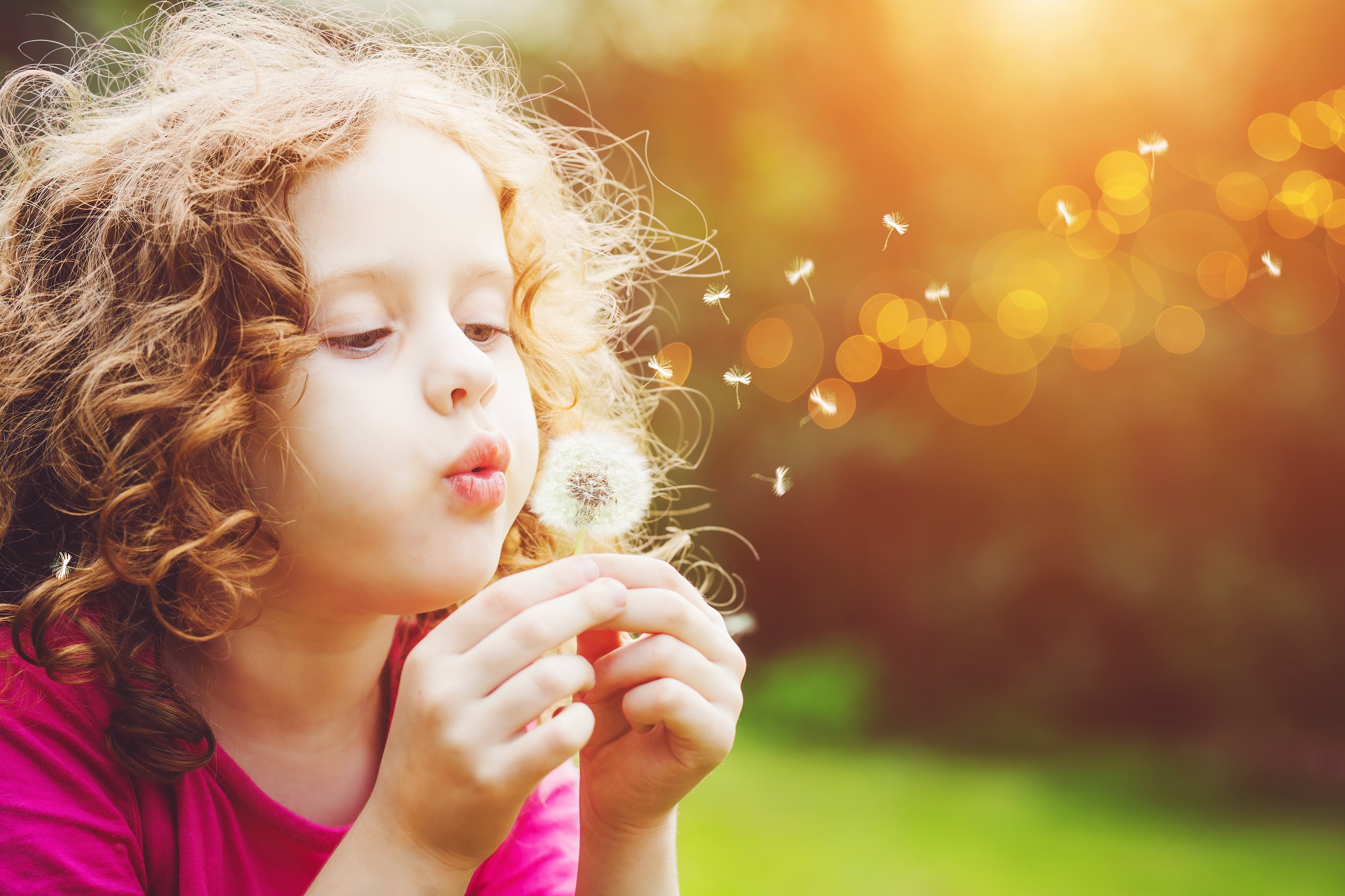 AdobeStock_103526267