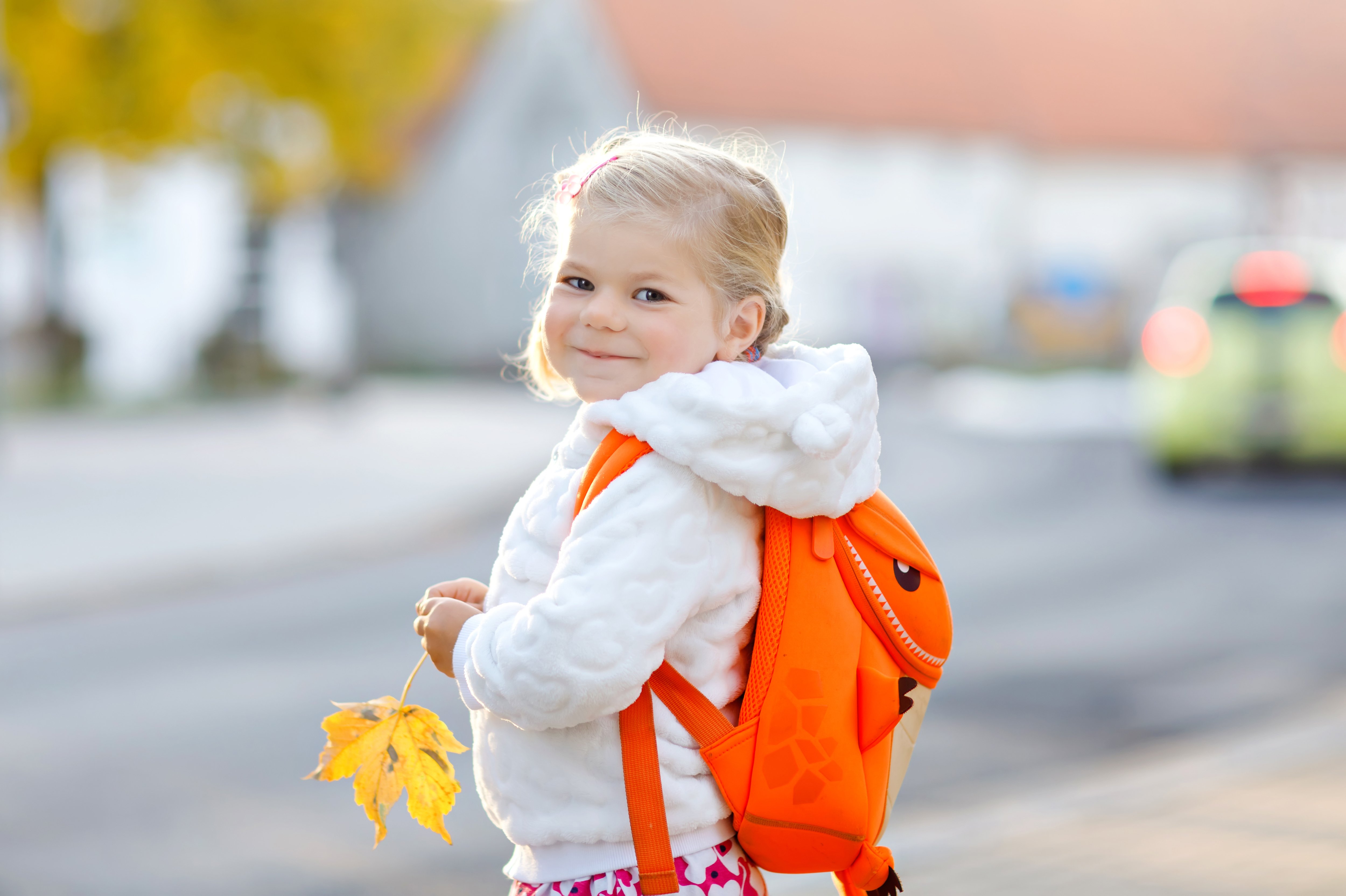 AdobeStock_297271309_clipped
