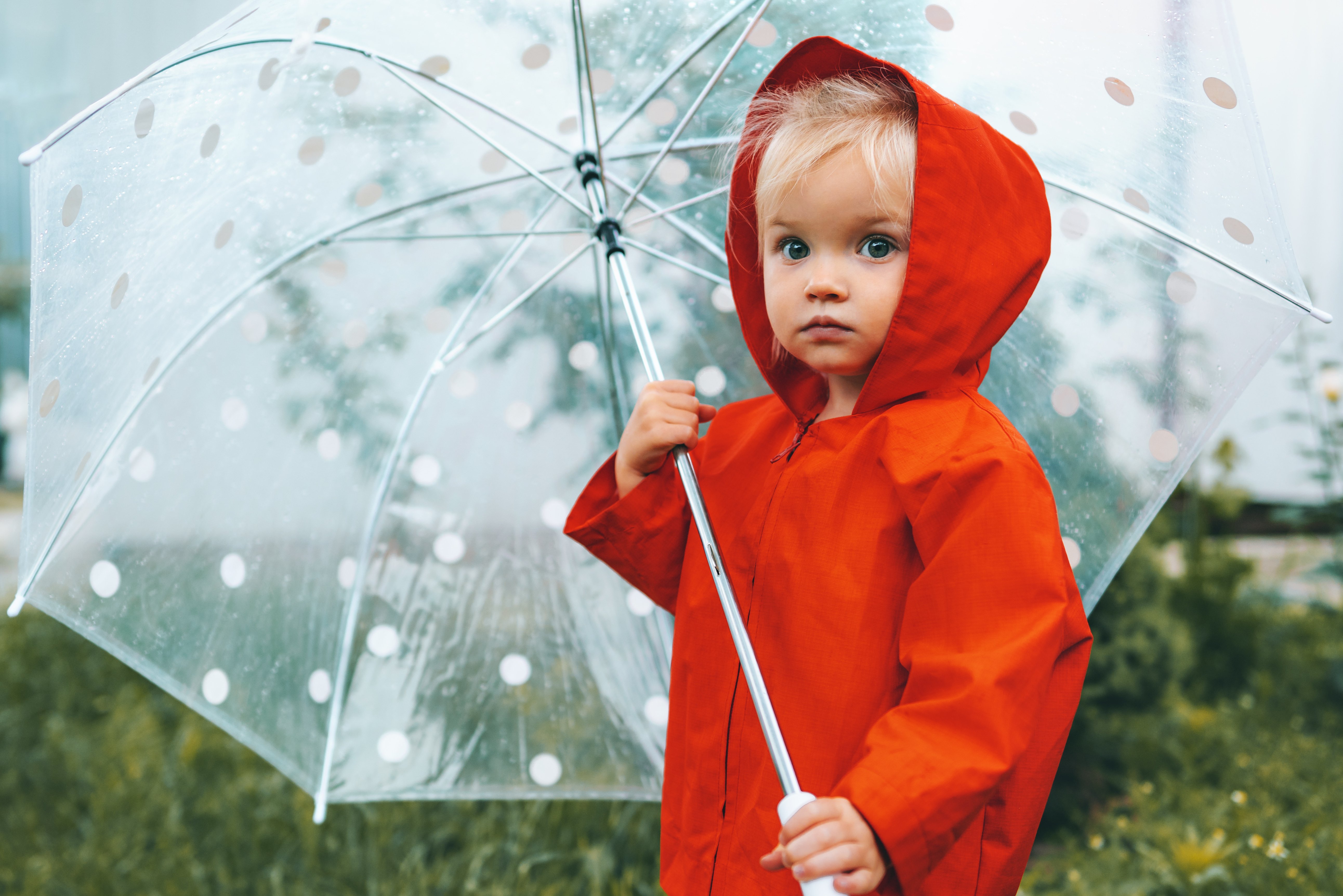AdobeStock_525528355