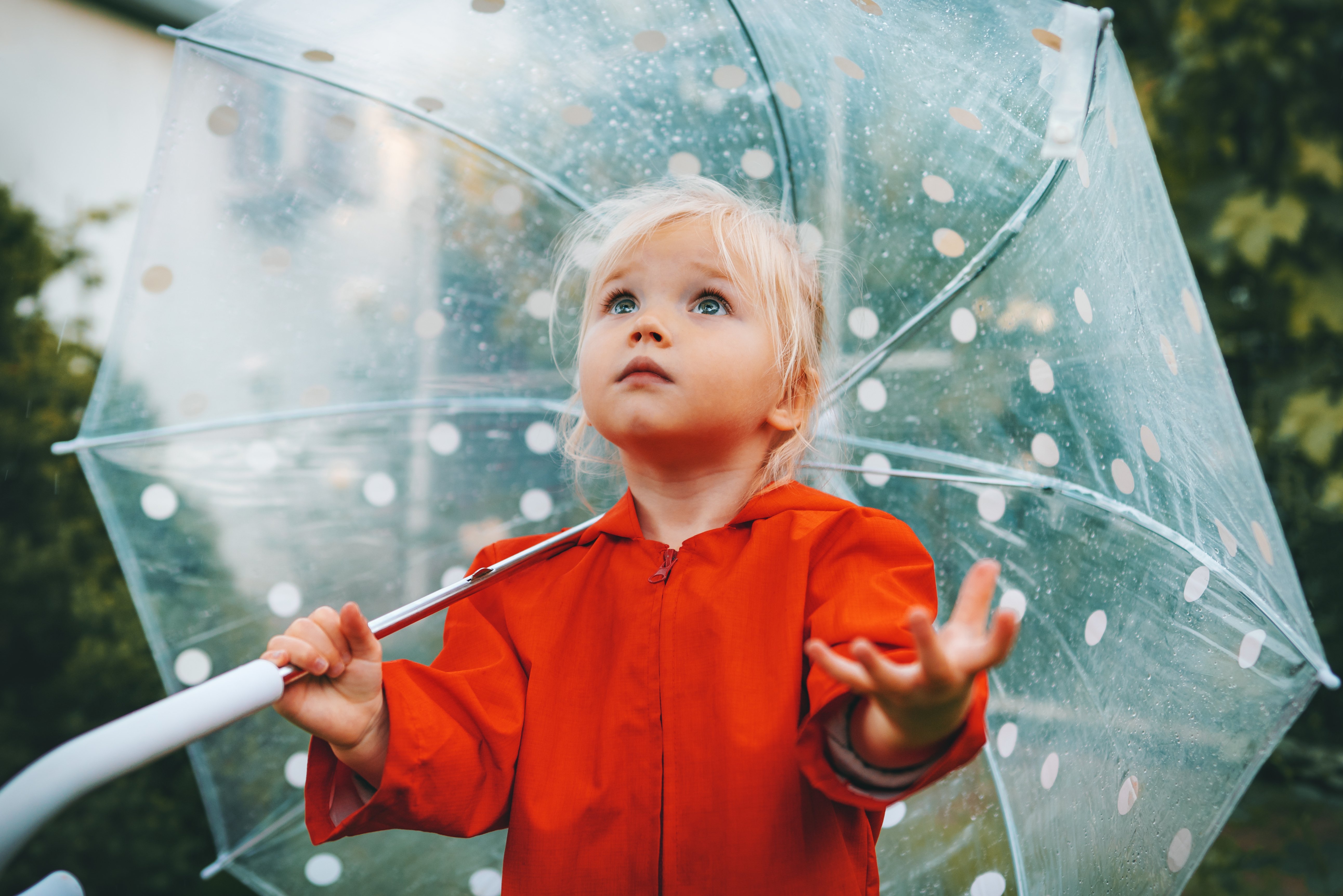 AdobeStock_525528356