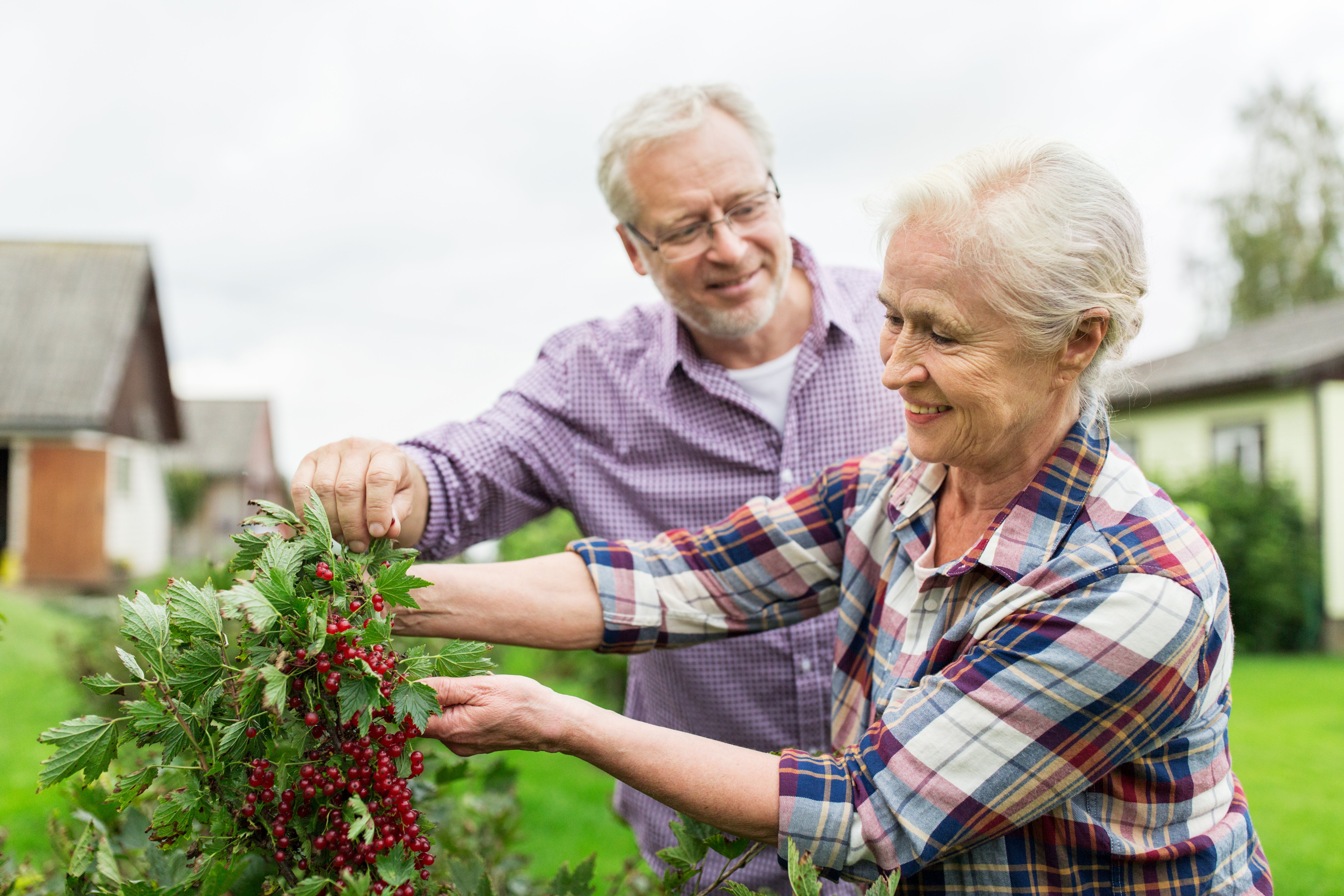ScanStockPhoto_image_4142481